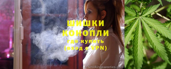 амф Бородино